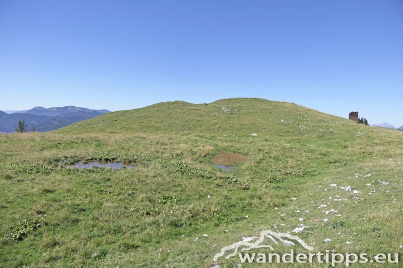 Wetterin/Kaiserstein Abbildung 11