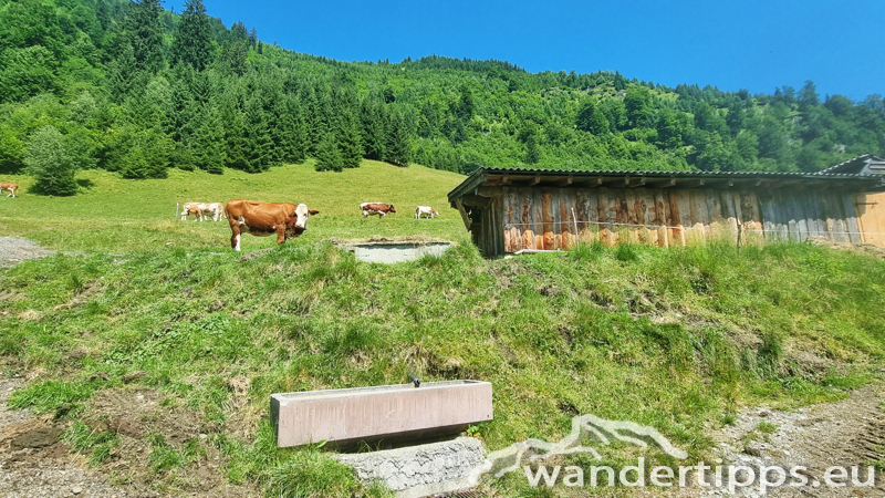 Schneckenreithalm/Bürgkogel Abbildung 11