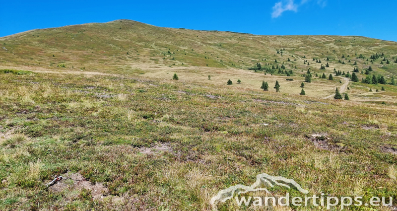 Teuerlnock Abbildung 14